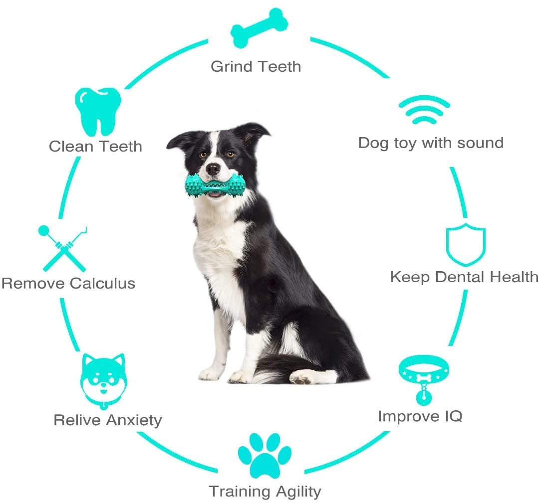Chewy Champers Dog Toothbrush Toy – Squeaky Dental Chew Toy for Small & Medium Dogs