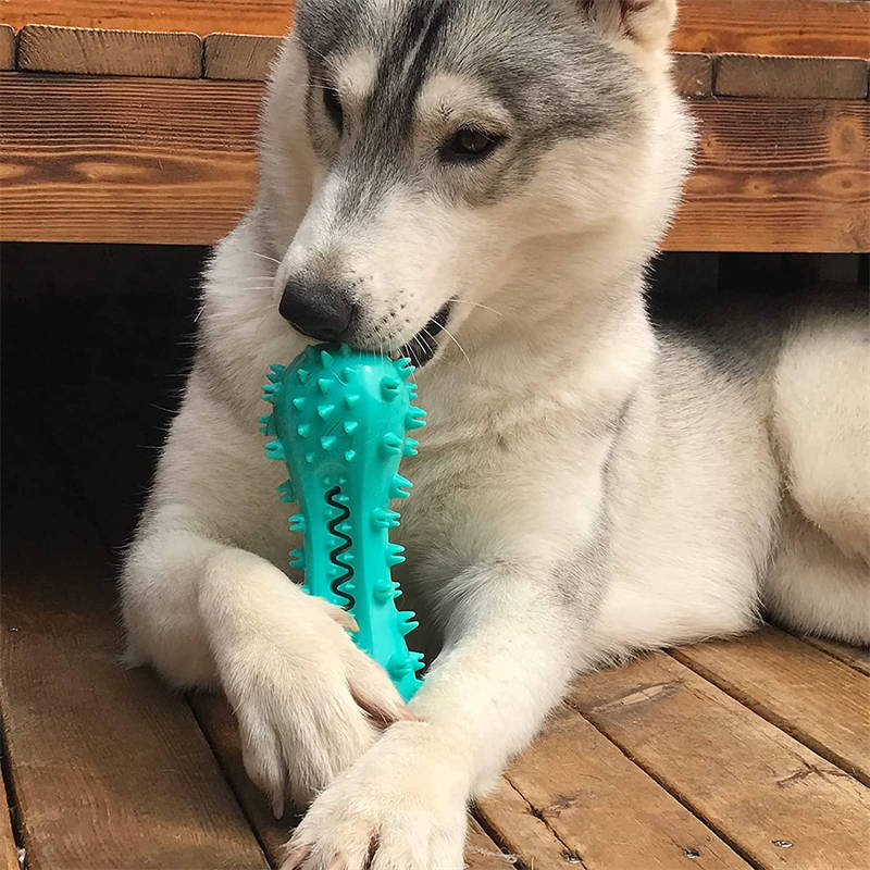 Chewy Champers Dog Toothbrush Toy – Squeaky Dental Chew Toy for Small & Medium Dogs