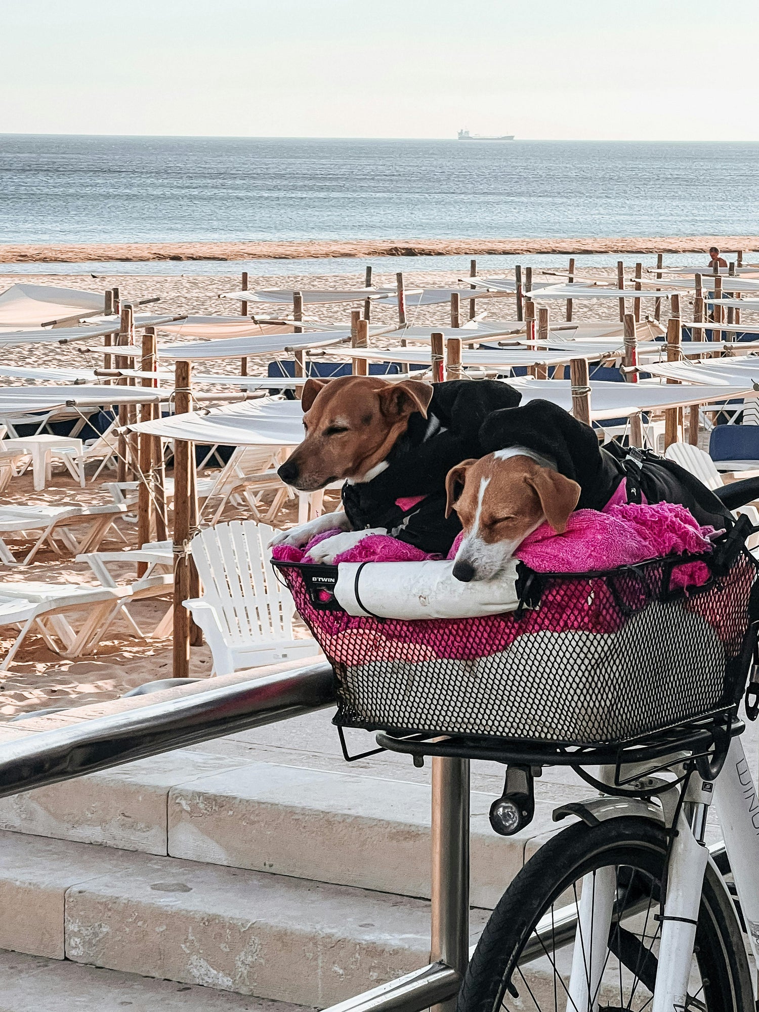 Outdoor & Travel