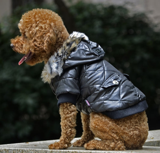 Stylish Fur Collar Dog Coat – Warm Autumn & Winter Pet Jacket for Small and Large Dogs