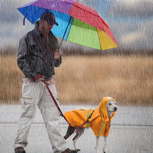 Waterproof Reflective Dog Raincoat – Lightweight Spring & Summer Cape for Large Dogs